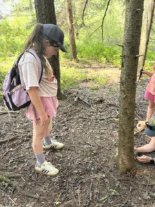 Discovering a herd of tree cattle